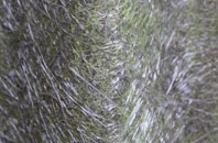 Cawood fibreglass roof work